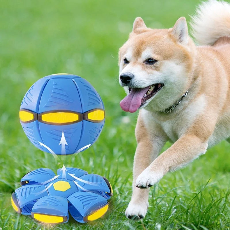 Toys Magic Funny Pet Flying Outdoor Dog Training Toy Pelota Perro Dogs Accessoires Futurism Saucer Ball