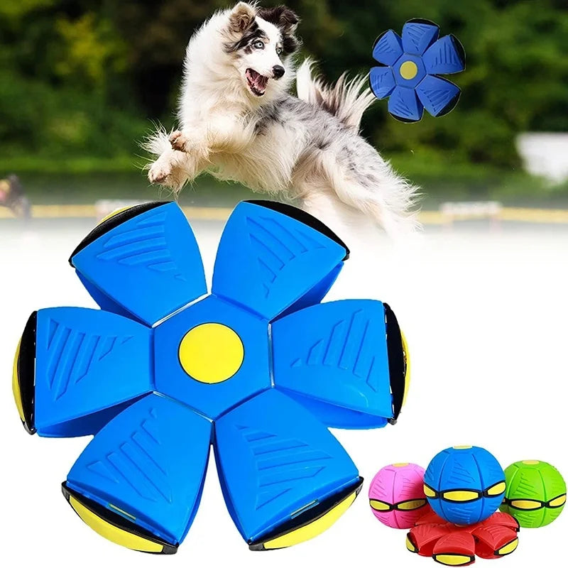 Toys Magic Funny Pet Flying Outdoor Dog Training Toy Pelota Perro Dogs Accessoires Futurism Saucer Ball